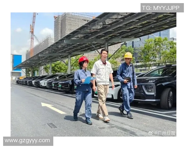 广州乒乓球队转型纪实：从传统强队到现代竞技的蜕变之路